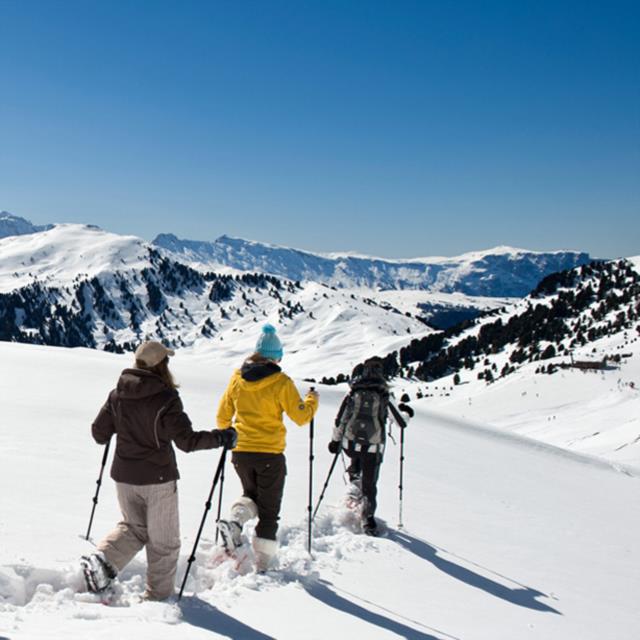 Snowshoeing &amp; Alpine skiing